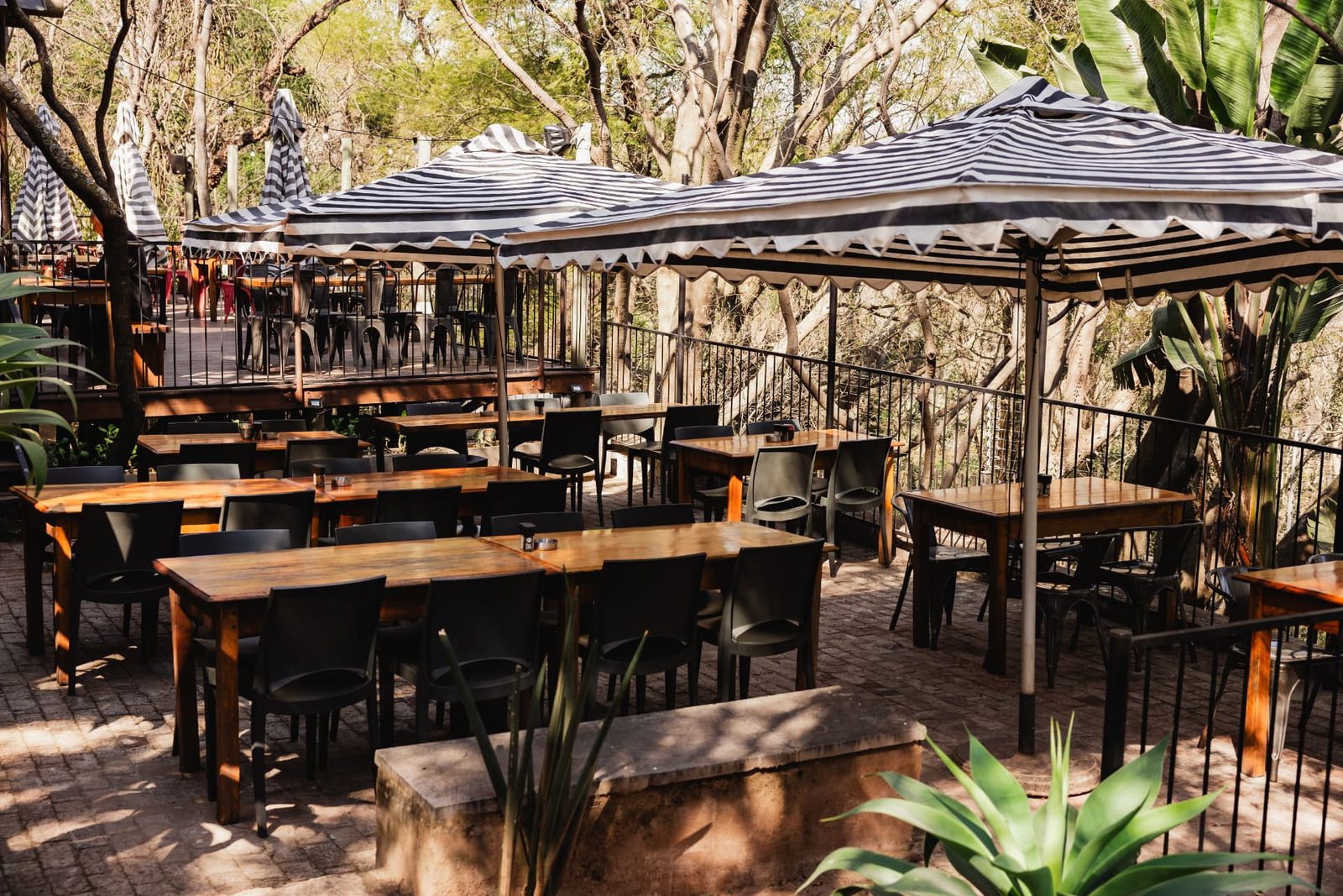 The Bunker Terrace at Blos Café: timber tables and black chairs under black-and-white striped umbrellas, shaded by tall trees