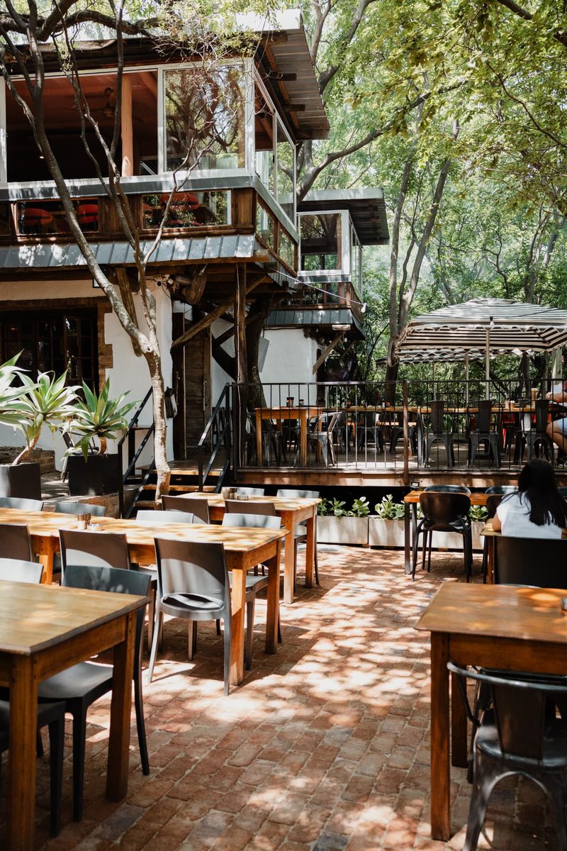 The timber-and-glass upper structure above the Bunker Terrace, with dappled sunlight over brick paving and tables